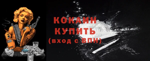 дмт Сосновоборск