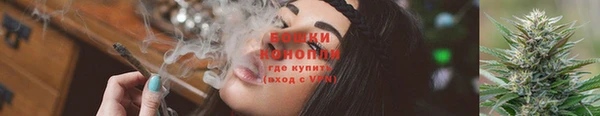 дмт Сосновоборск