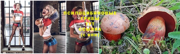 MDMA Premium VHQ Беломорск
