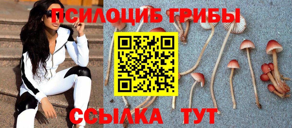 Верхний Уфалей  Галлюциногенные грибы Cubensis  Вход с VPN 
