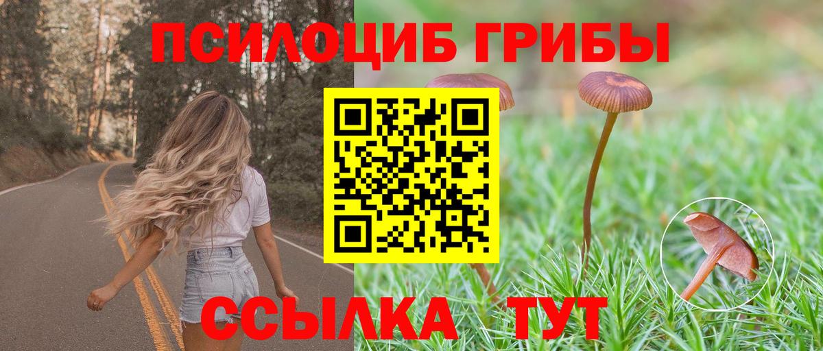 Галлюциногенные грибы мицелий Верхний Уфалей