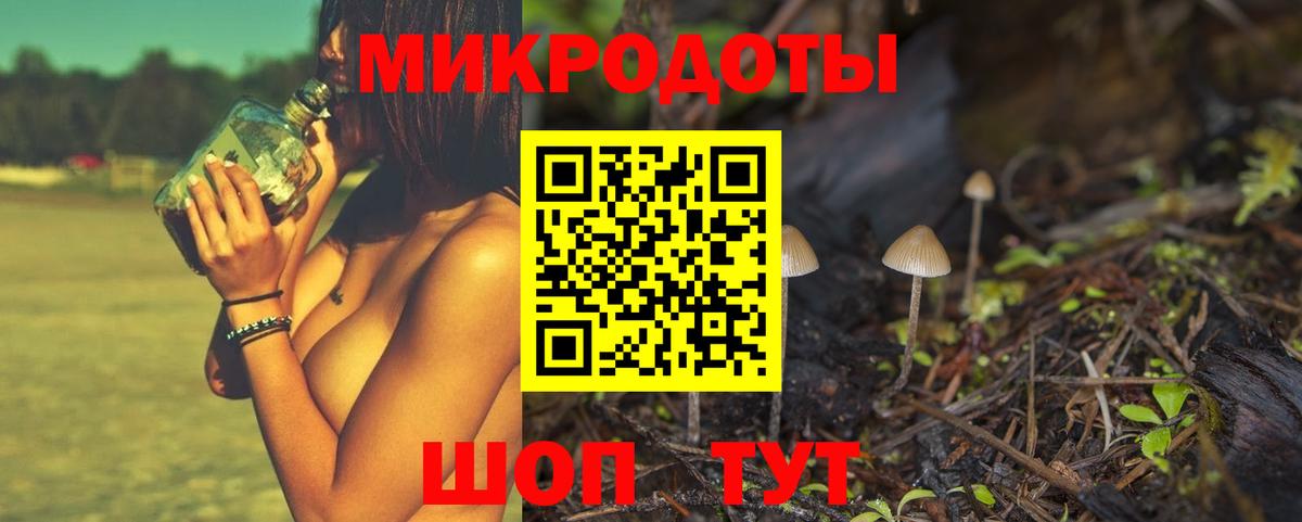 Псилоцибиновые грибы Psilocybine cubensis Верхний Уфалей