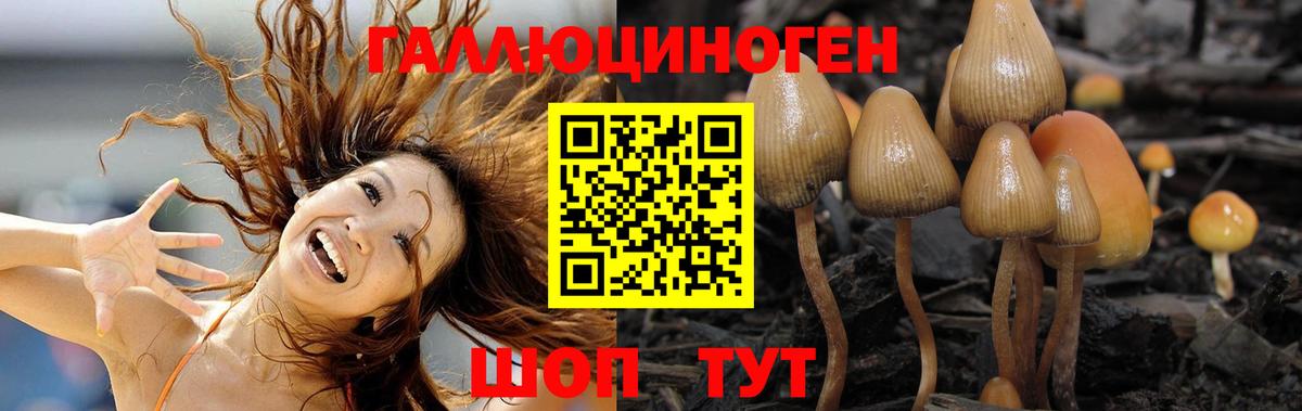 Галлюциногенные грибы мухоморы  Верхний Уфалей 